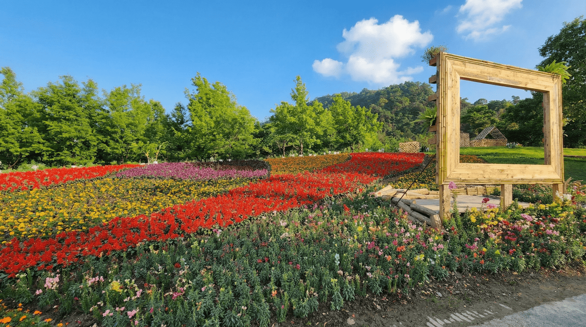 保種館 形象佔圖