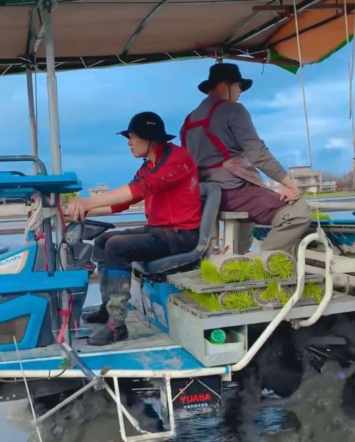 Bukid ng Chenjiazhuang 永續行動照片